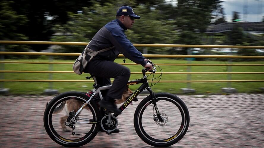 Imagen de referencia. Foto: Colprensa