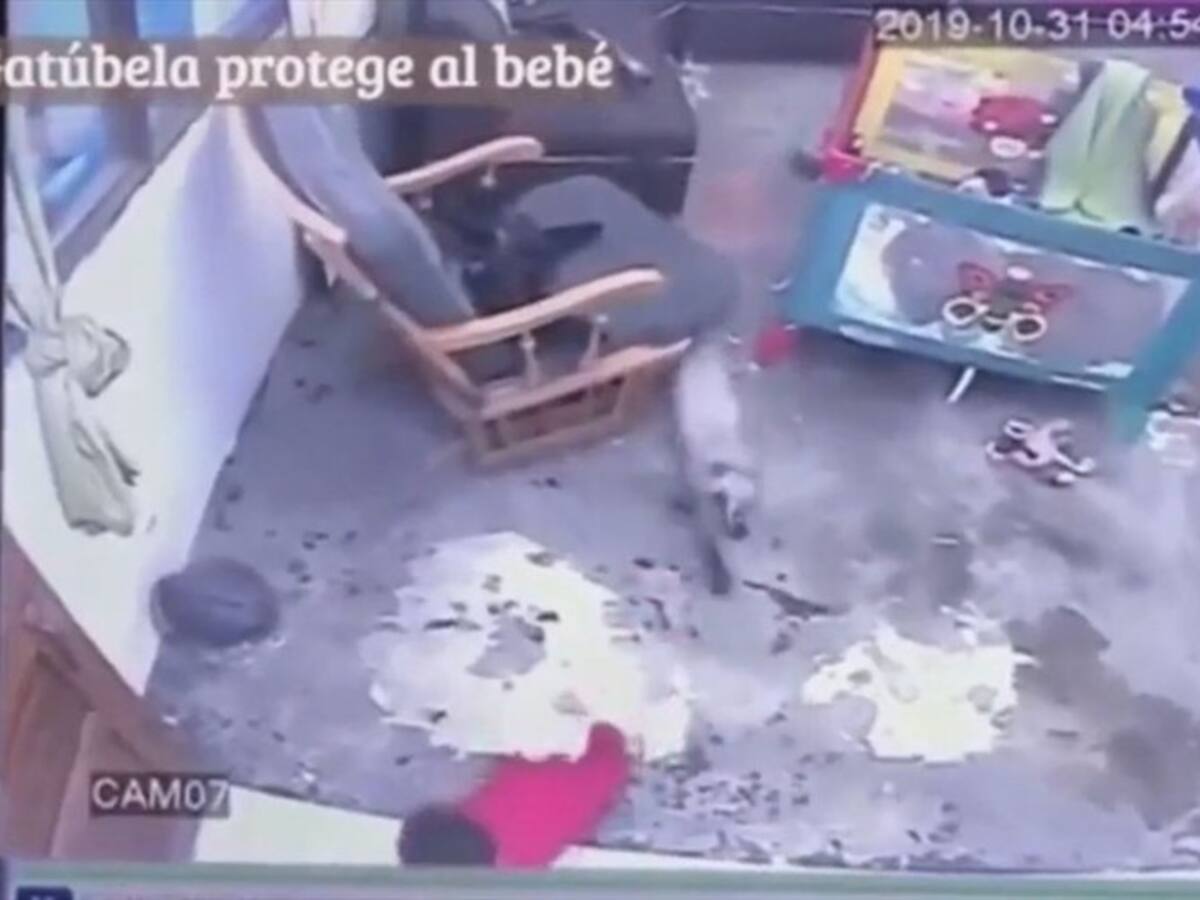 La historia de Gatúbela, una heroína de la vida real