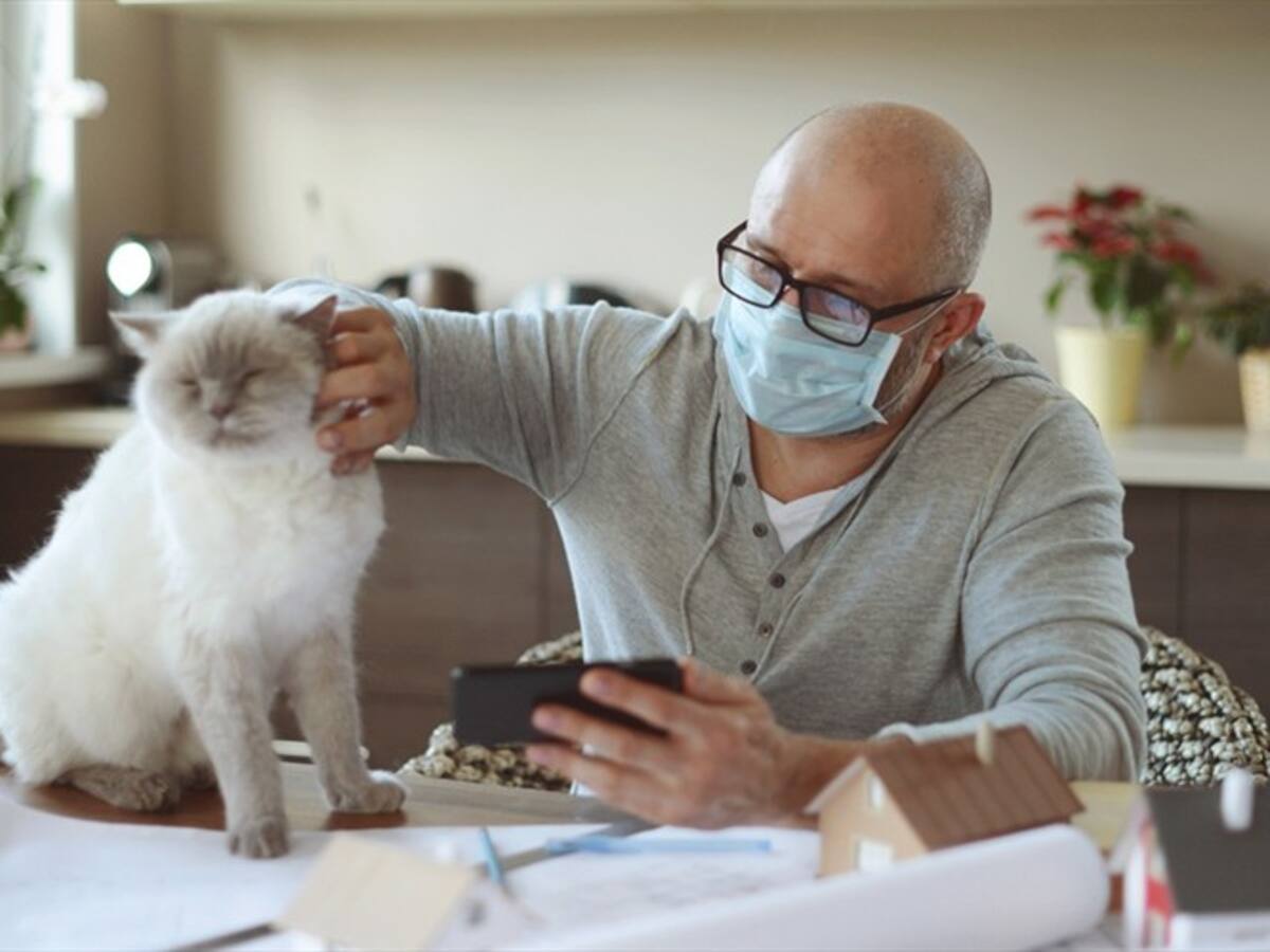 Estudio afirma que gatos y perros pueden contagiarse de COVID por culpa de su amos