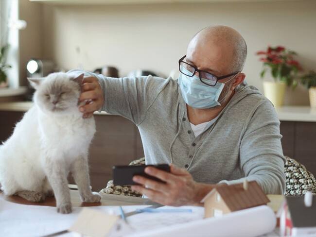 Estudio afirma que gatos y perros pueden contagiarse de COVID por culpa de su amos