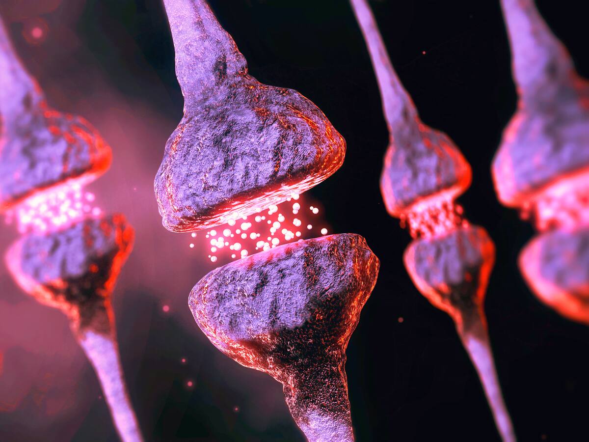 “El aparato digestivo es el responsable de la formación de la serotonina”: experto