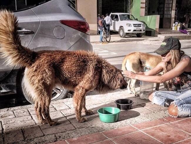 Jimena Hoyos, actriz colombiana. Foto: Twitter: @jimenahoyos