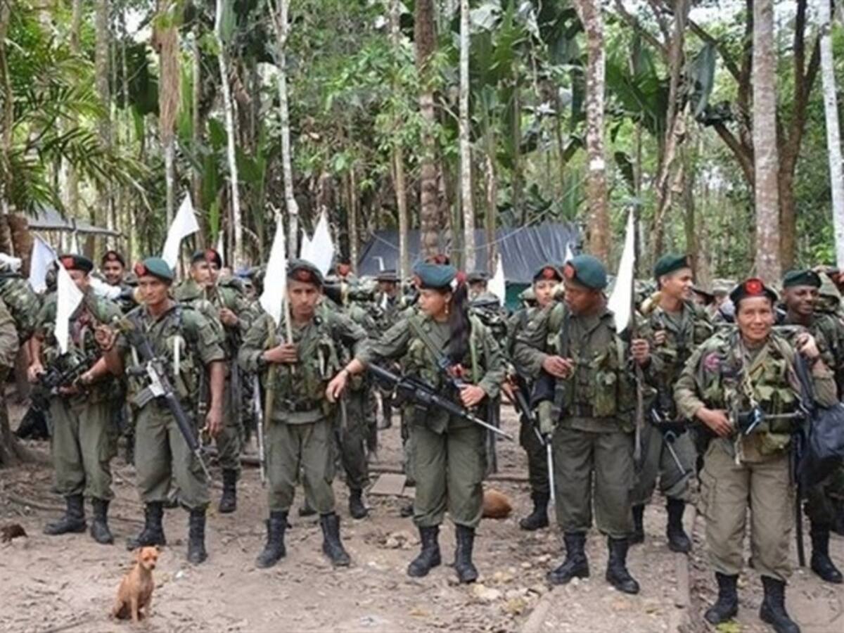 Las Farc habrían entregado las armas en un 100% en Córdoba