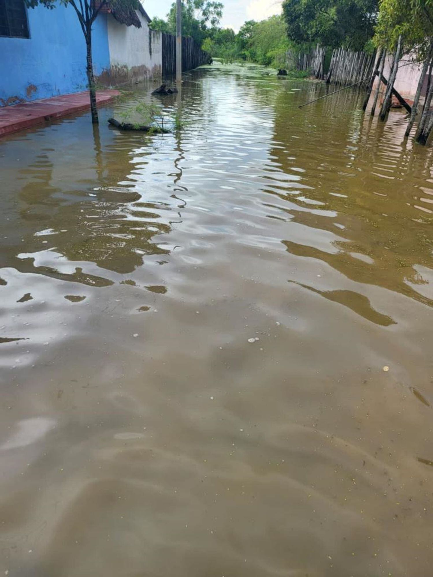 Inundaciones en zona rural de Remolino/ Liliana López