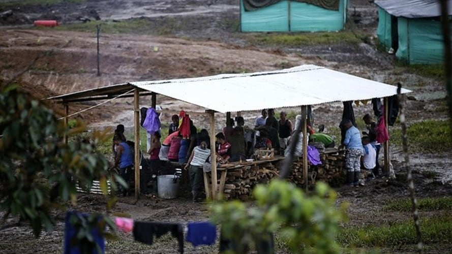Por tiempo indefinido Gobierno seguirá pagando apoyo económico a excombatientes de FARC. Foto: Colprensa