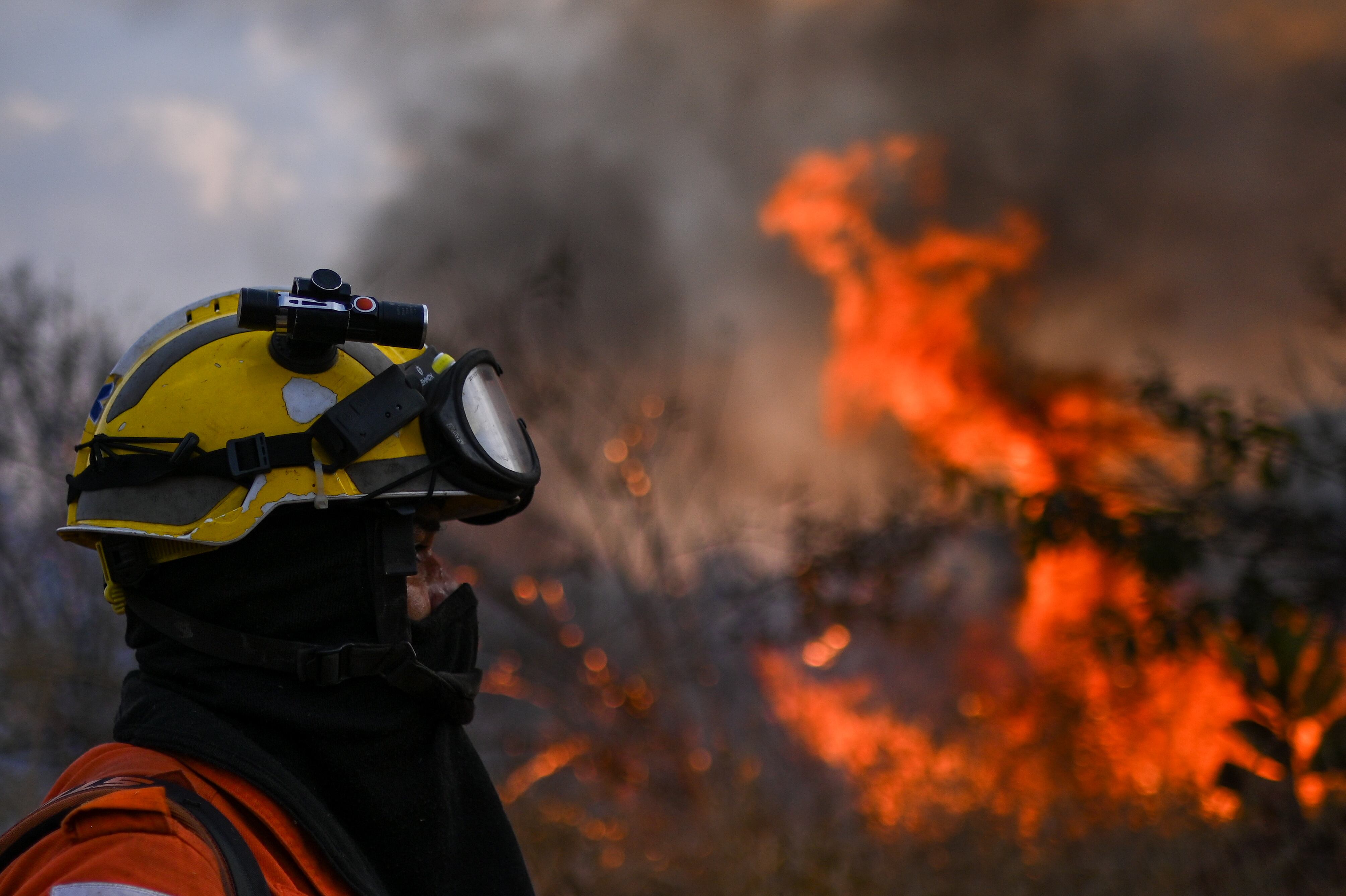 Incendios forestales en la Amazonía. I Foto: EFE/ Andre Borges.