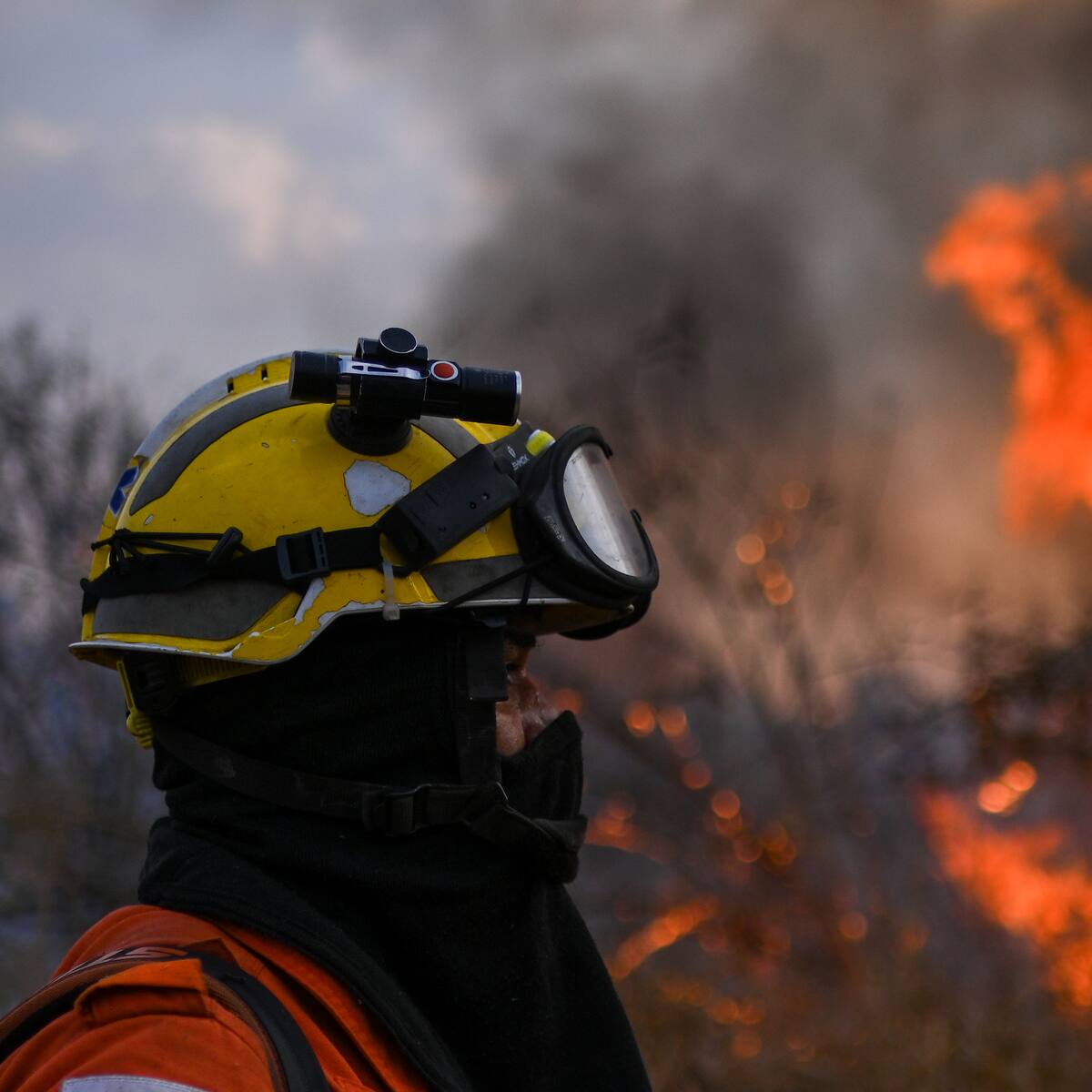 Alerta amarilla por riesgo de incendios forestales en zonas del departamento del Atlántico