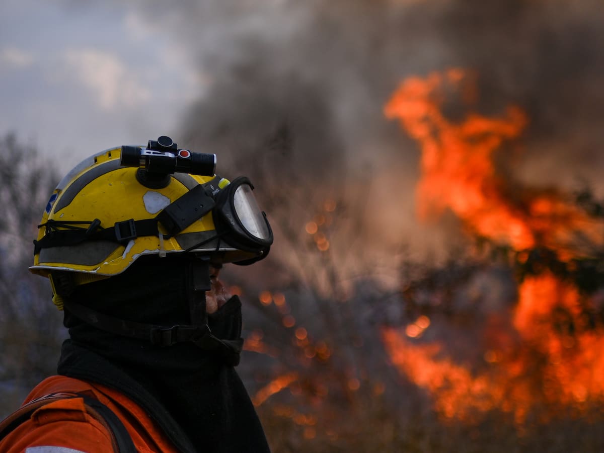 Juez de C. Suprema ordenó a Lula da Silva movilizar militares y policías contra incendios