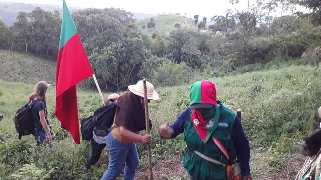 Las comunidades indígenas afirmaron que continuarán con sus labores de erradicación de cultivos de uso ilícito . Foto: Cortesía