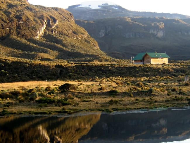 Daños en el Parque Nacional Natural Los Nevados por ganadería extensiva / Foto: Oficial Parques Nacionales