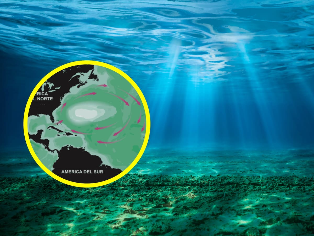 El único mar del mundo que no toca ninguna costa terrestre: ¿por qué? Es muy singular