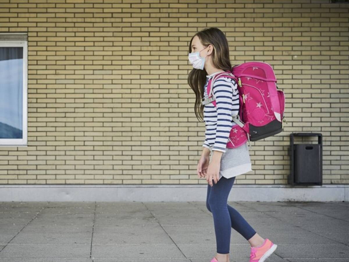 Hemos tenido un año perdido en términos educativos: Isabel Segovia