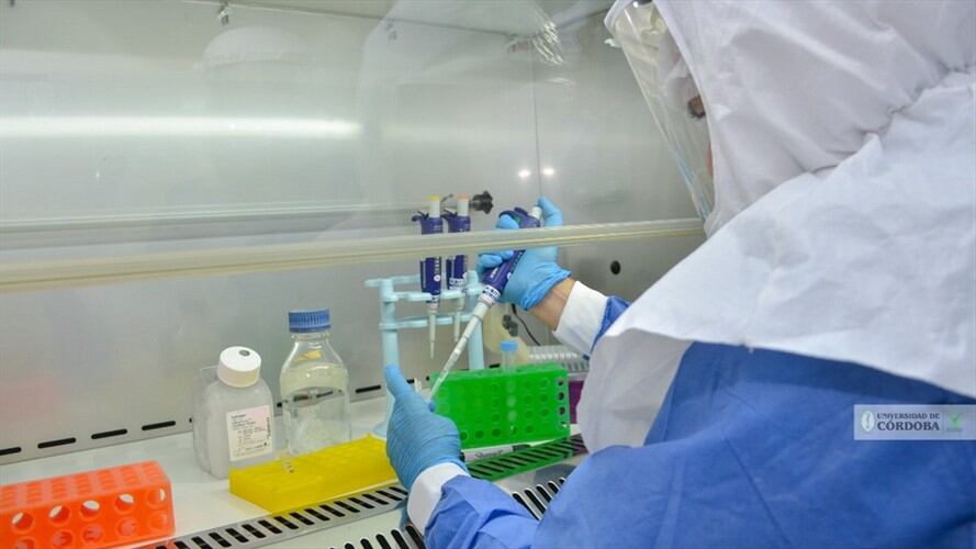 Córdoba se quedó sin reactivos para procesar muestras para COVID-19. Foto: Cortesía