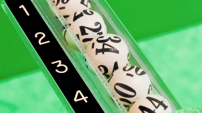 25 de febrero: Resultados de los principales chances y loterías en Colombia.