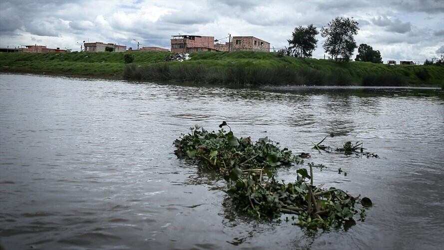 El Tribunal Administrativo de Cundinamarca le ordenó al director de la CAR firmar el convenio y adelantar las obras que habían quedado en el limbo. Foto: Colprensa - Río Bogotá