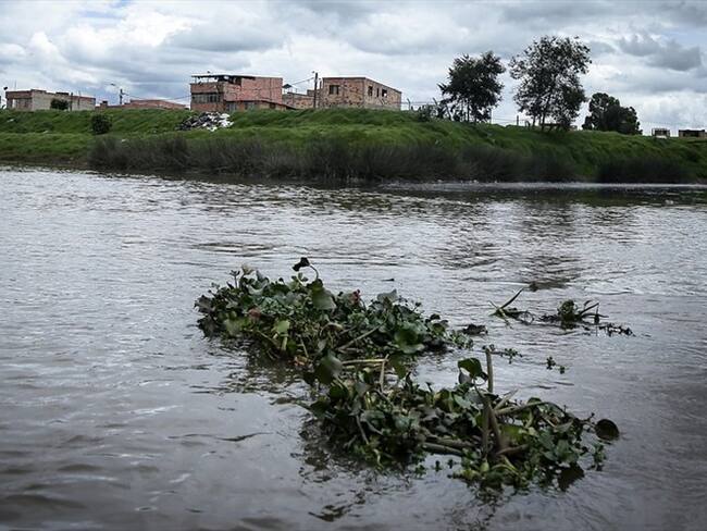 El Tribunal Administrativo de Cundinamarca le ordenó al director de la CAR firmar el convenio y adelantar las obras que habían quedado en el limbo. Foto: Colprensa - Río Bogotá