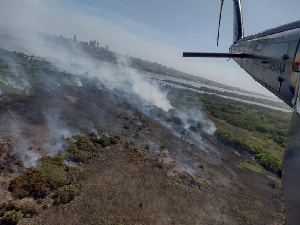 Incendio Parque Isla Salamanca/ Fuerza Áerea
