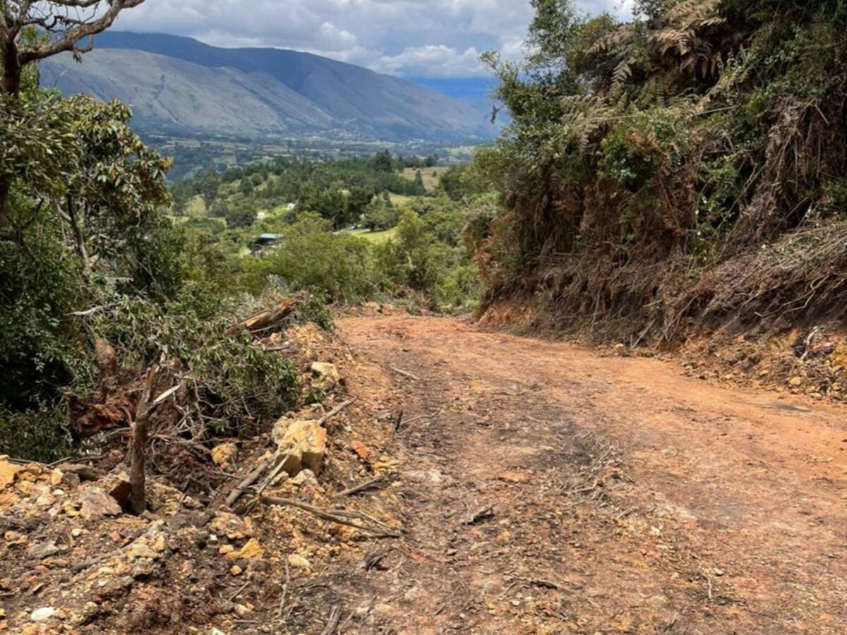 Construyen carretera en medio de reserva natural en Gachantivá