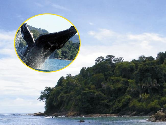 Parque Nacional Natural Uramba Bahía Málaga. Fotos: Colprensa.