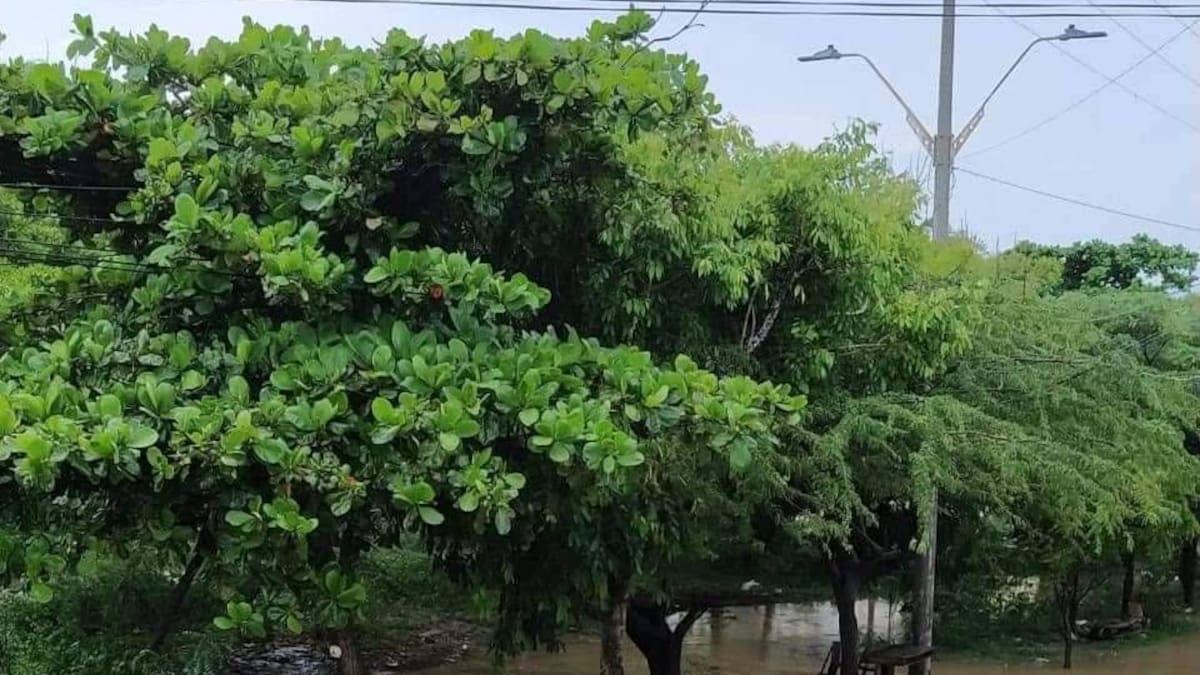 Barranquilla: afectados por las obras de arroyos exigen reunión en el sur