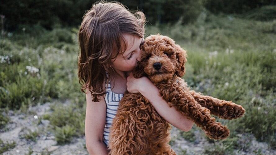 ¿Por qué nos dan ganas de apretujar animales tiernos?. Foto: Getty Images