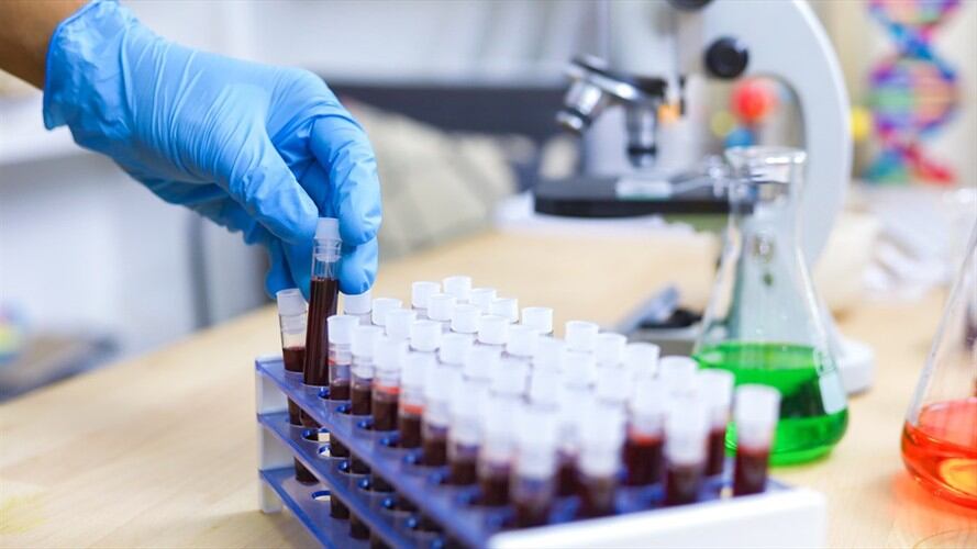 Confirman llegada de variante delta a Santander. Foto: Getty Images