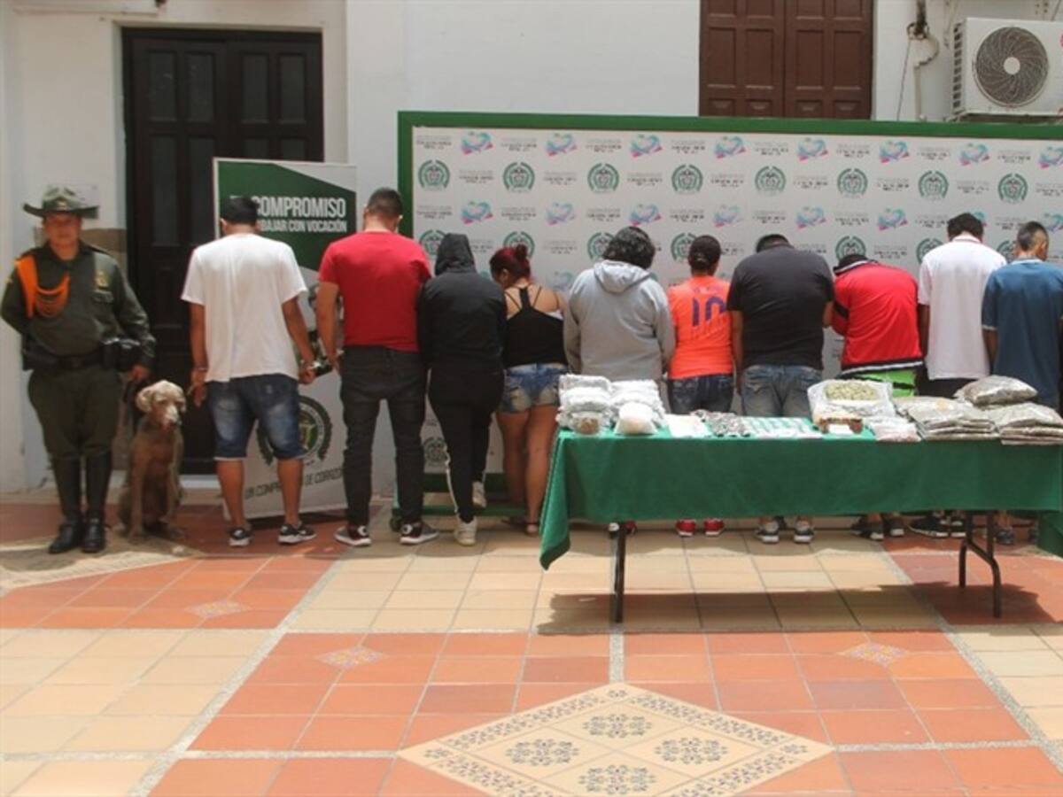 Cae banda que cuidaba estupefacientes con serpientes y perros