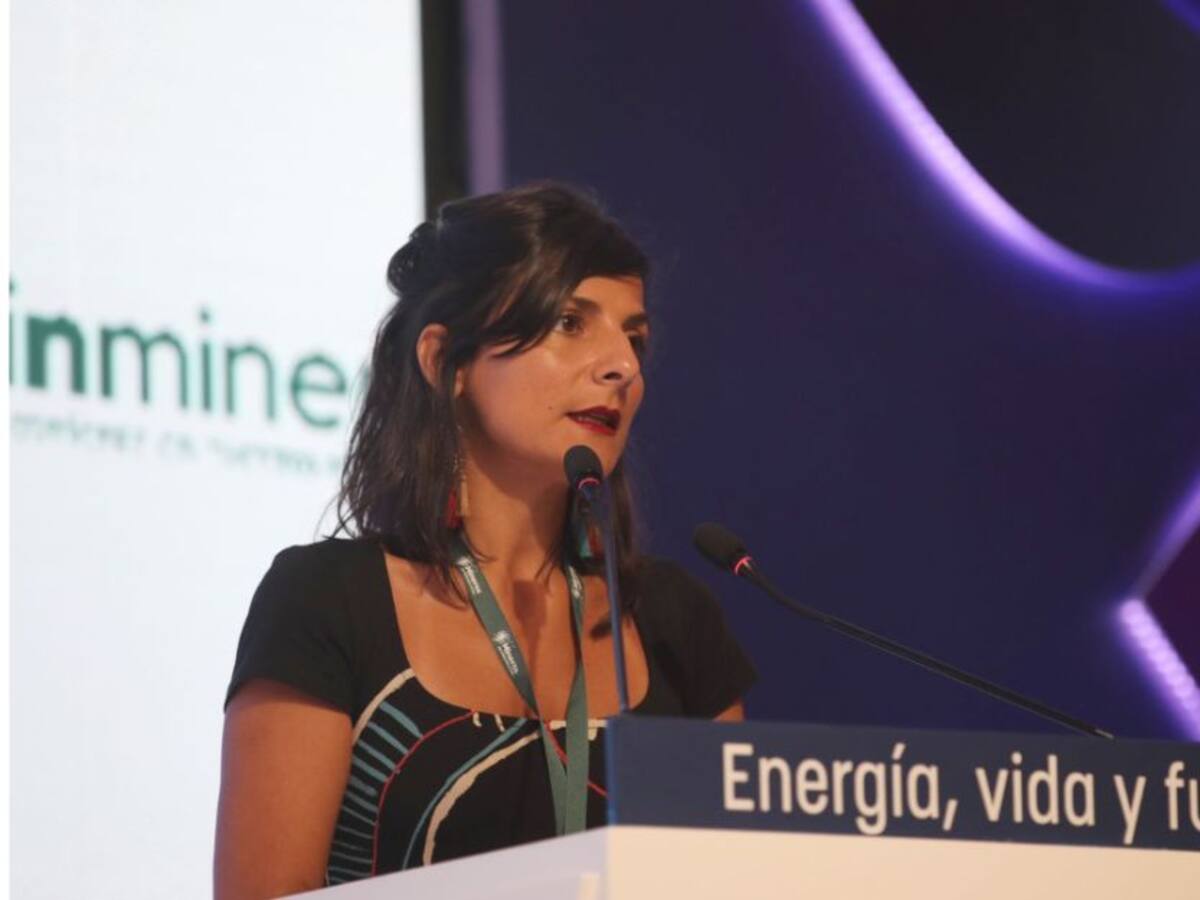 No se concederán nuevos contratos de exploración de gas y petróleo: MinMinas