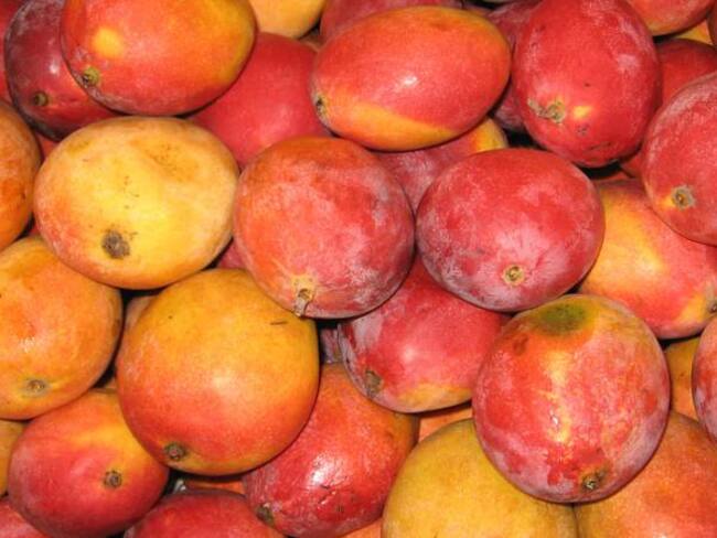 Foto: Mango de azúcar / Colprensa