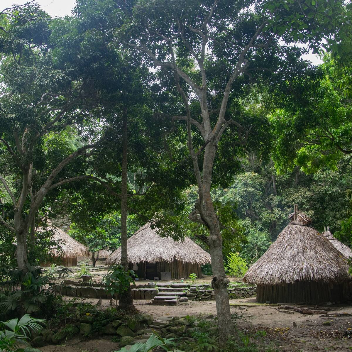 Denuncian presunto secuestro de indígena Kogui en zona rural de Ciénaga, Magdalena