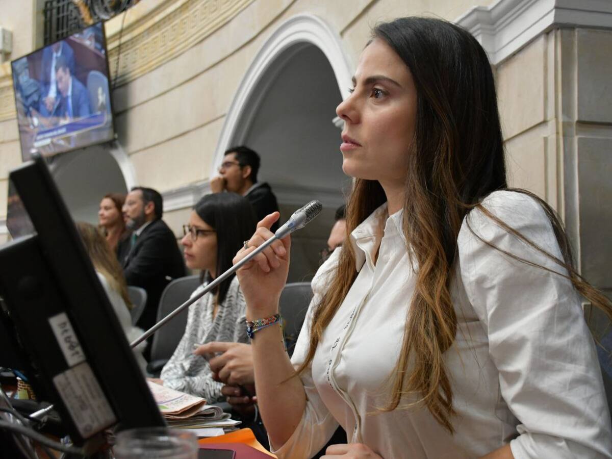 Así avanza proyecto de ley que busca que el acceso carnal a animales sea un delito en Colombia