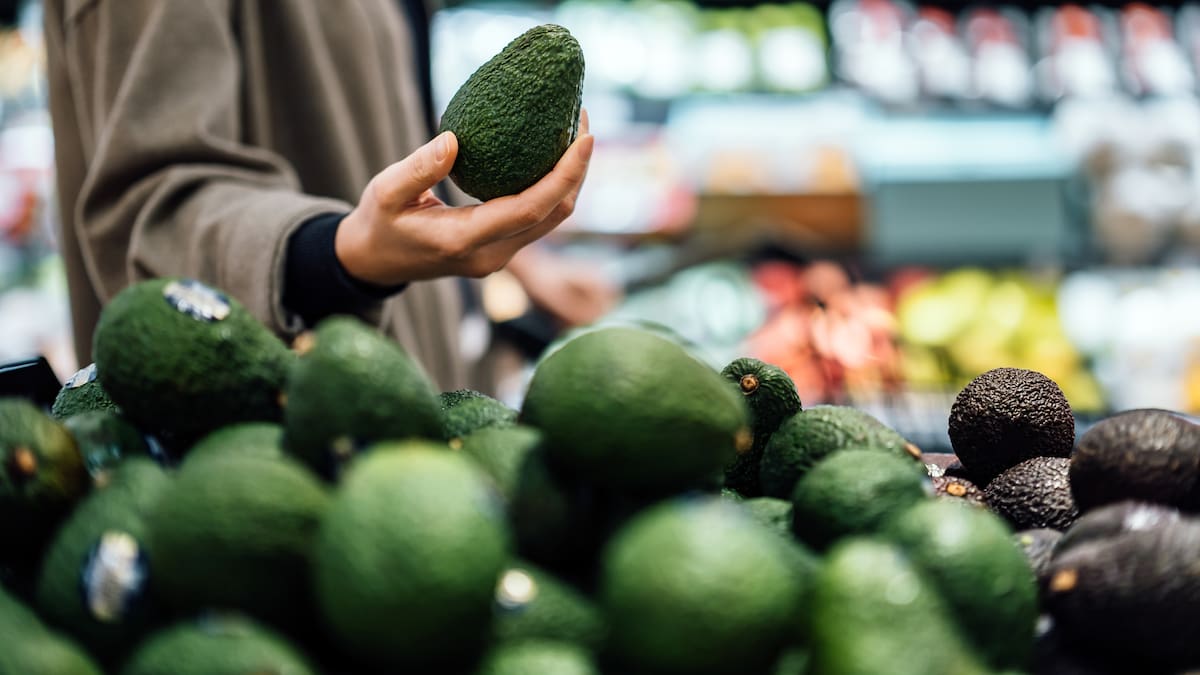 Fiscalía embargó bienes a empresas de aguacates que habrían sido usadas para lavar dinero del narco
