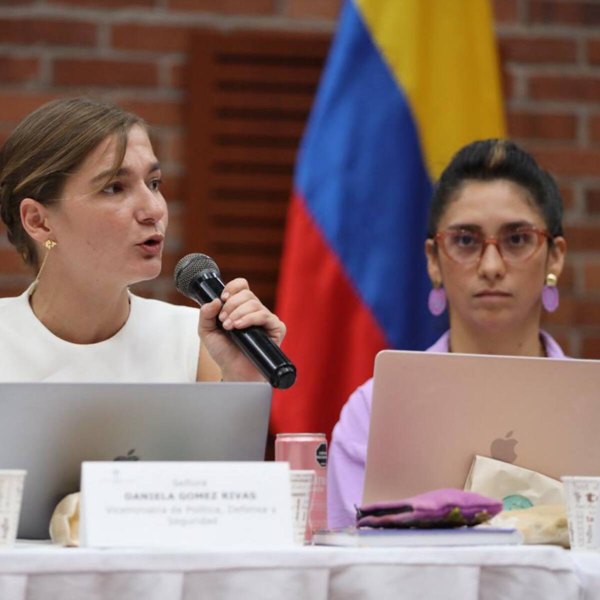 Hay garantías de seguridad: viceministra de Defensa sobre evento cultural en El Plateado