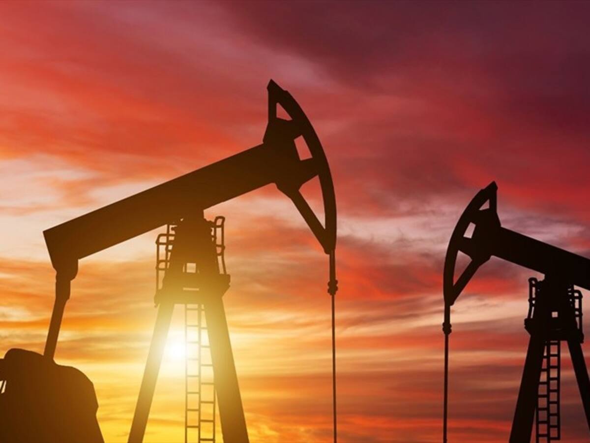 El modelo europeo para eliminar los combustibles fósiles