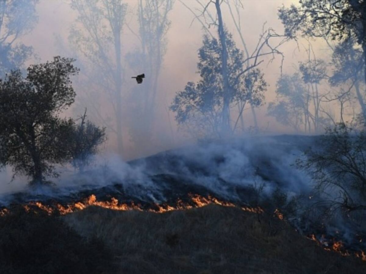Ya son 26 los municipios en alerta roja por incendios forestales en Córdoba