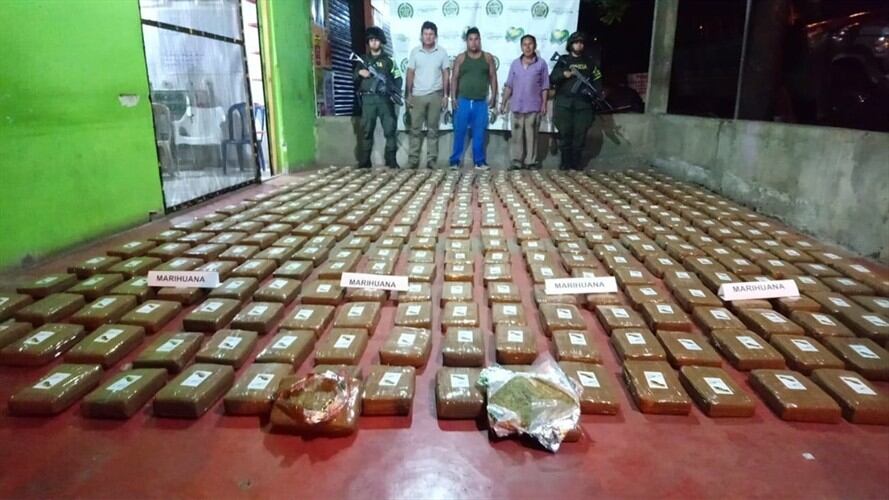 La Policía informó que en lo corrido del año han incautado más de 14 toneladas de marihuana en Cauca. Foto: Policía Cauca