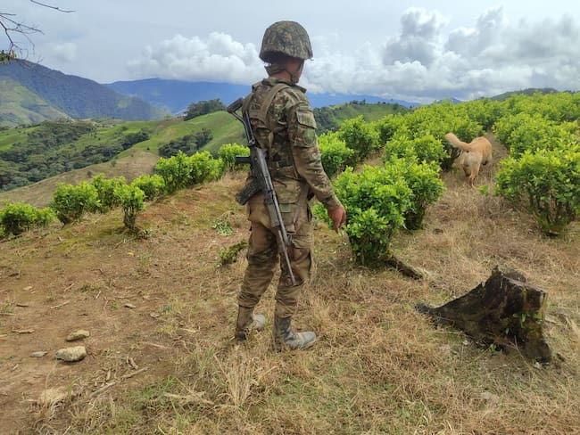Las tropas continúan con el desarrollo de operaciones en el sector. Crédito: Ejército Nacional.