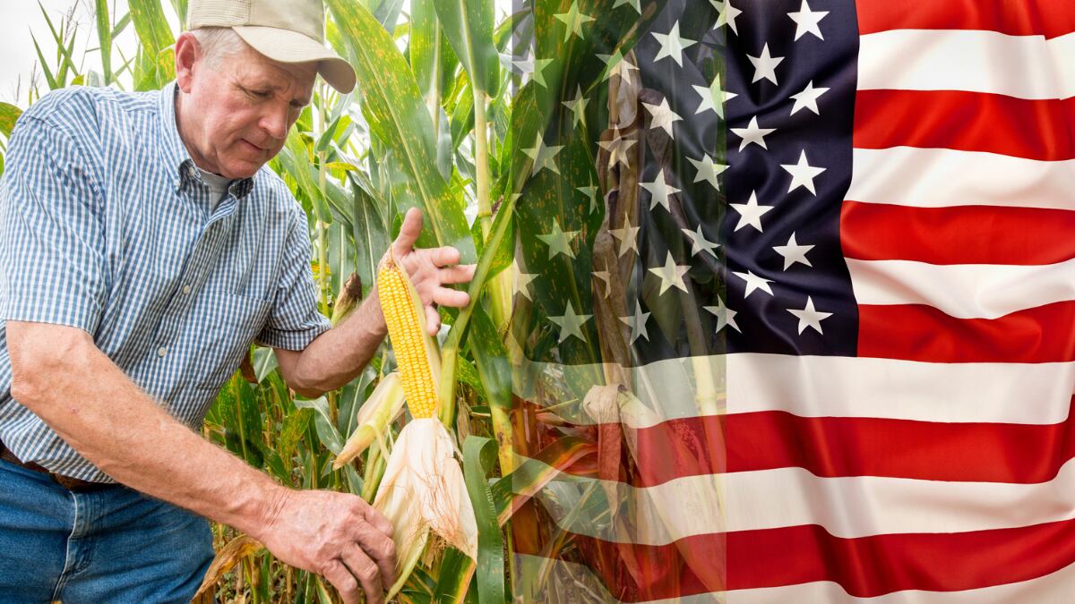 Agricultor recogiendo maíz / Bandera de Estados Unidos (Getty Images)