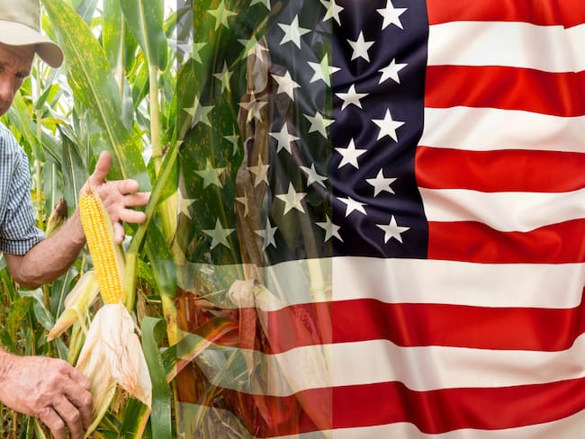 Agricultor recogiendo maíz / Bandera de Estados Unidos (Getty Images)