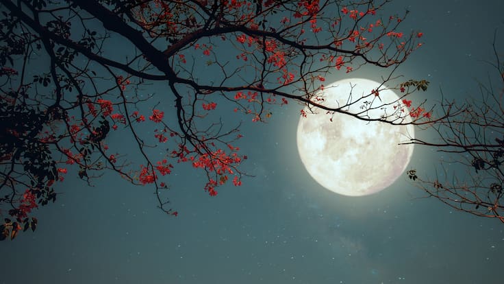Imagen de la Luna llena / Foto: GettyImages