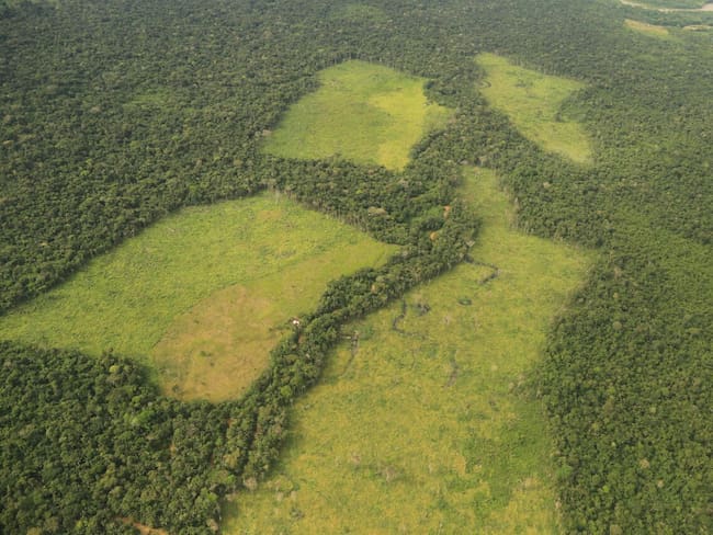 Deforestación por disidencias Farc. Foto: Gobernación Meta