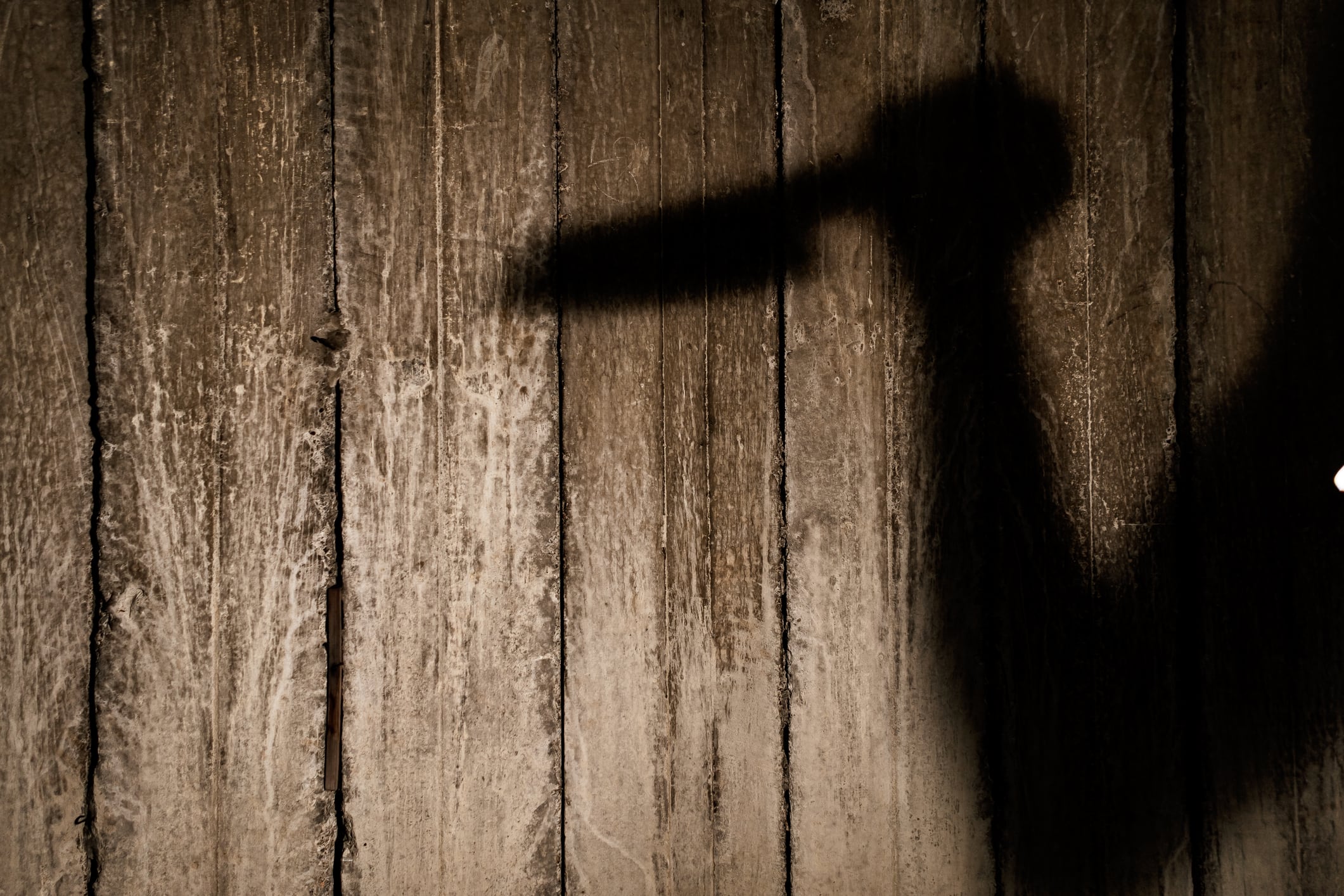 Imagen de referencia.