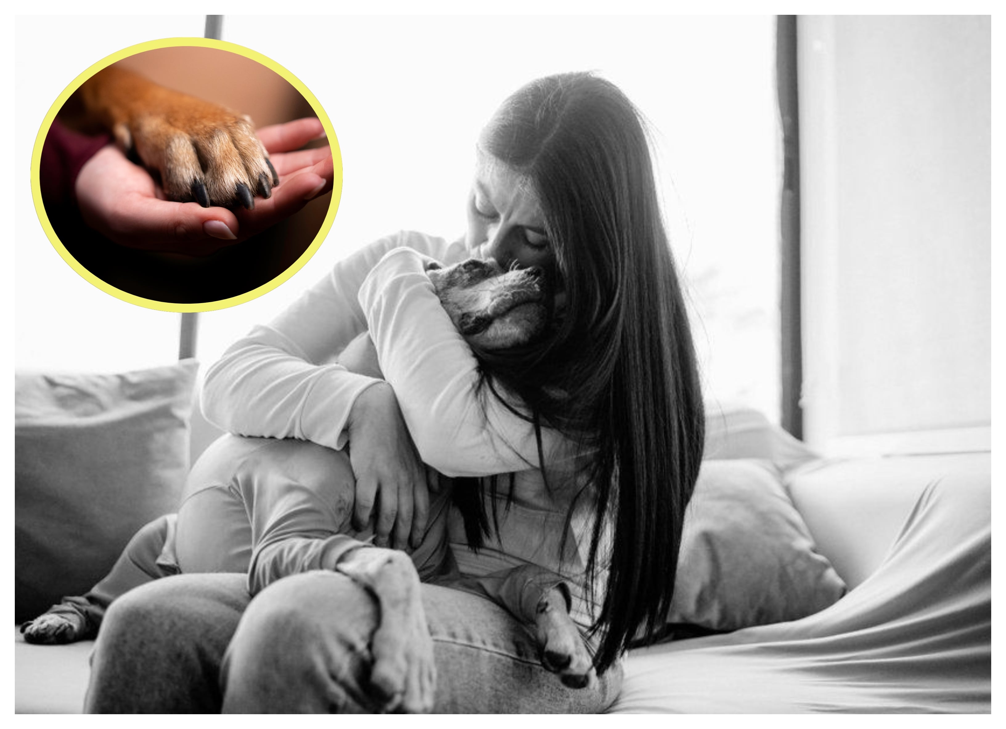 FOTO: Asociación de Protección Animal Mi Mejor Amigo