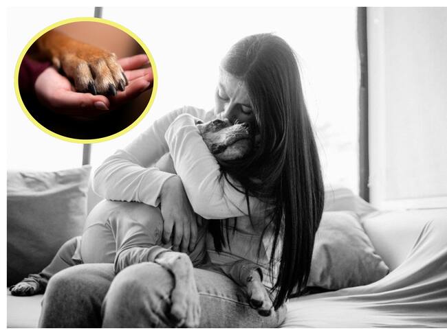 FOTO: Asociación de Protección Animal Mi Mejor Amigo