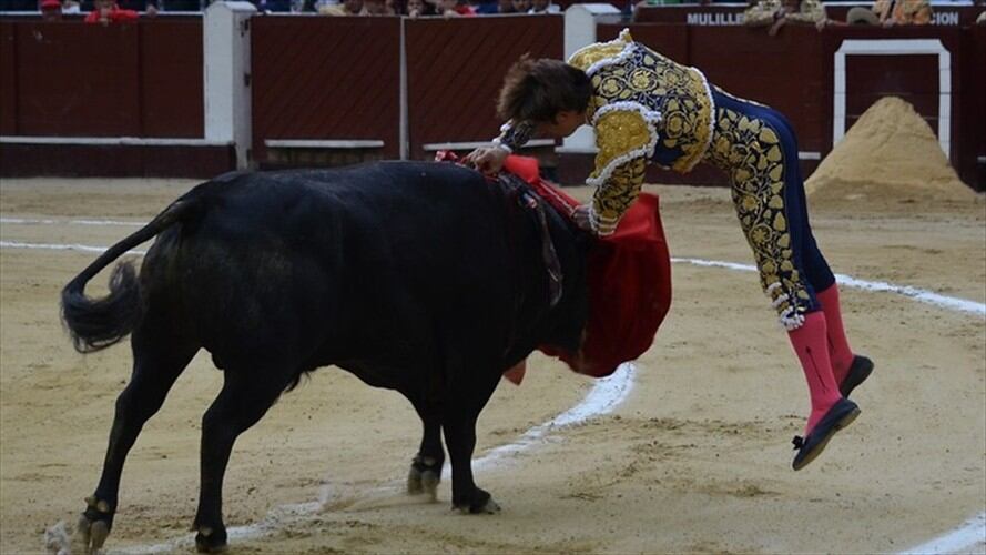 Ratifican que corridas de toros no incurren en delito de maltrato animal. Foto: Colprensa