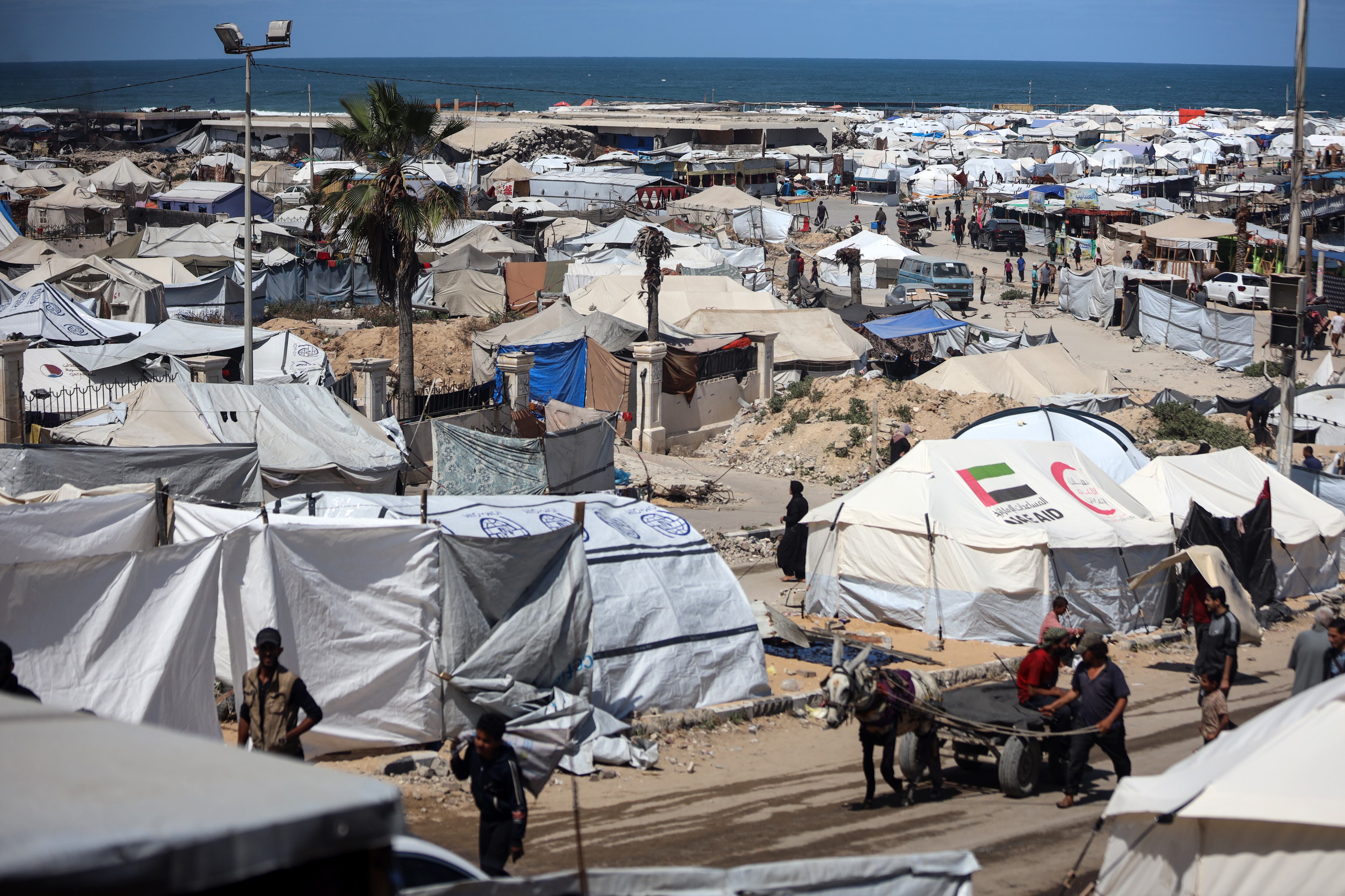 Palestinos desplazados en la Franja de Gaza. FOTO: Majdi Fathi/NurPhoto via Getty Images