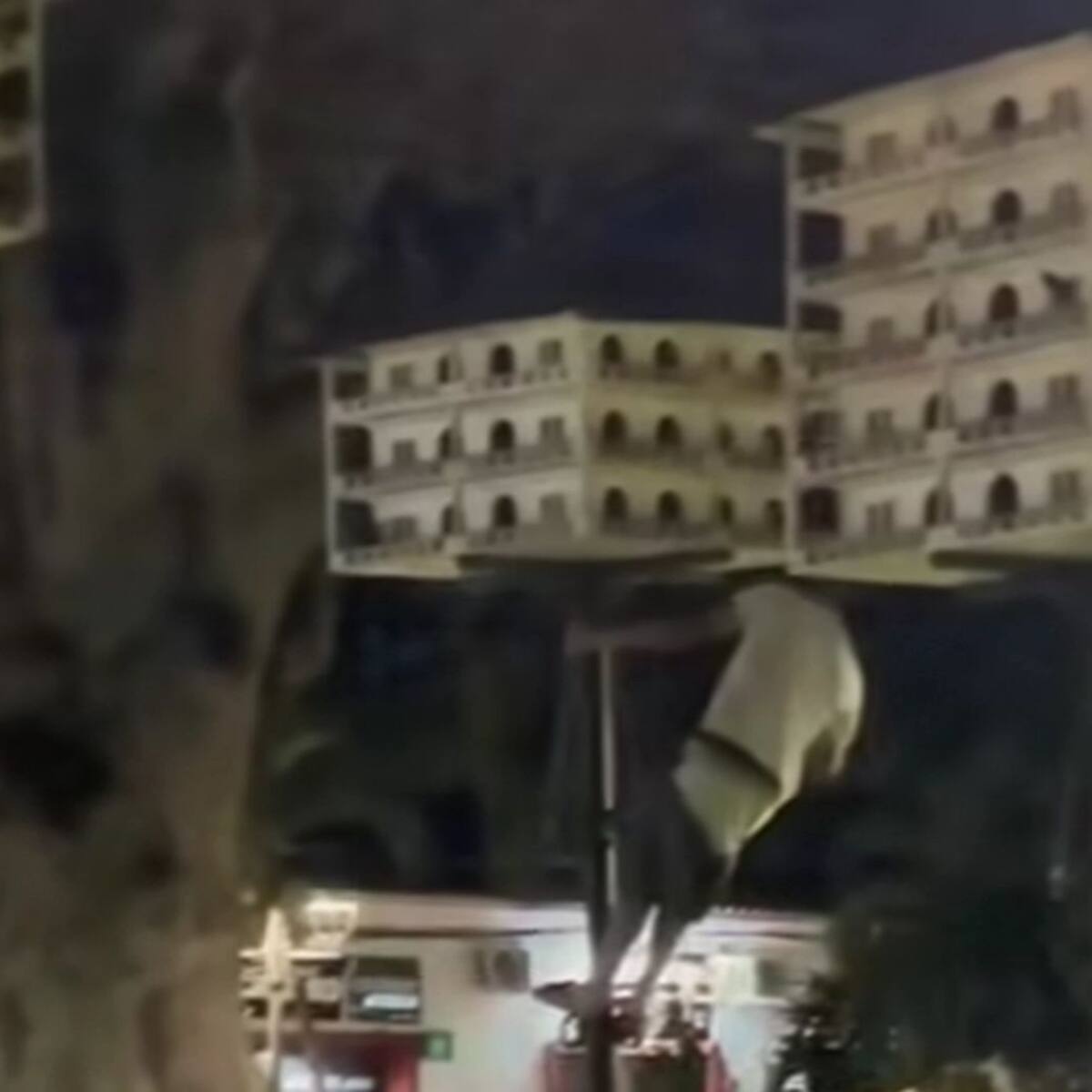 En Ocaña, buscan a hombre que mató varias palomas en un parque