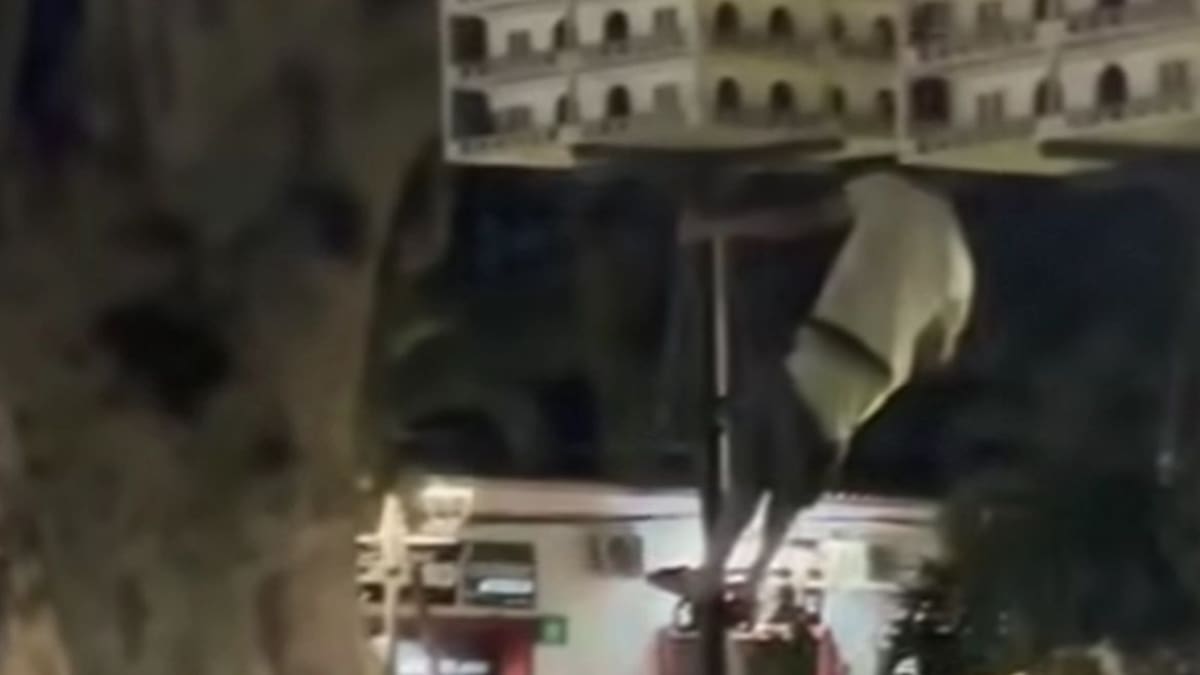 Vuelve y juega: Hombre atacó a palomas ubicadas en uno de los parques de Ocaña, Norte de Santander