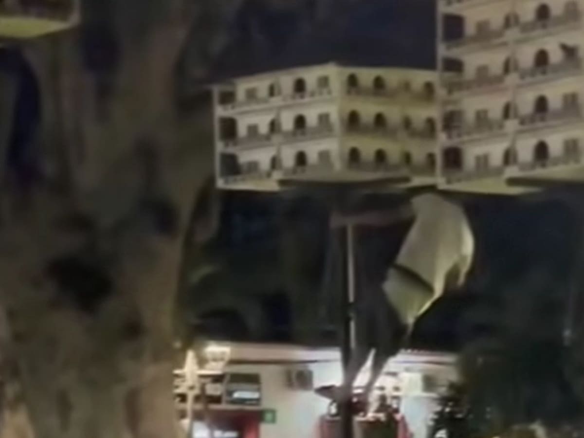 Vuelve y juega: Hombre atacó a palomas ubicadas en uno de los parques de Ocaña, Norte de Santander