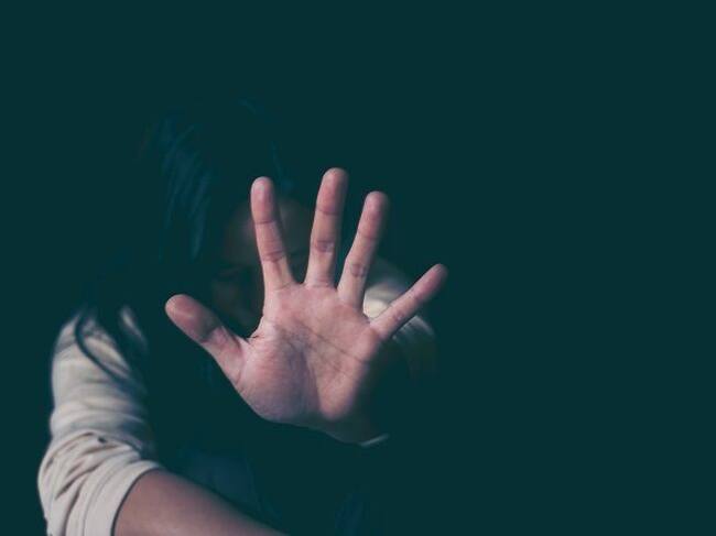 Imagen de referencia / Bekia